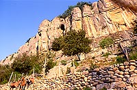 Le Viel Audon